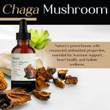 Auri Super Chaga Elixir dropper in use