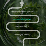 AUTHENTA Chamomile Herbal Supplement 200g back view