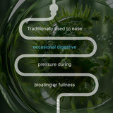 AUTHENTA IBShield Glycerin Chamomile daily Support 222g label close-up