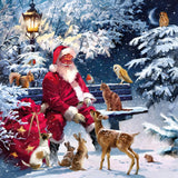 AVEVER Christmas Animal Santa Napkins in a gift basket