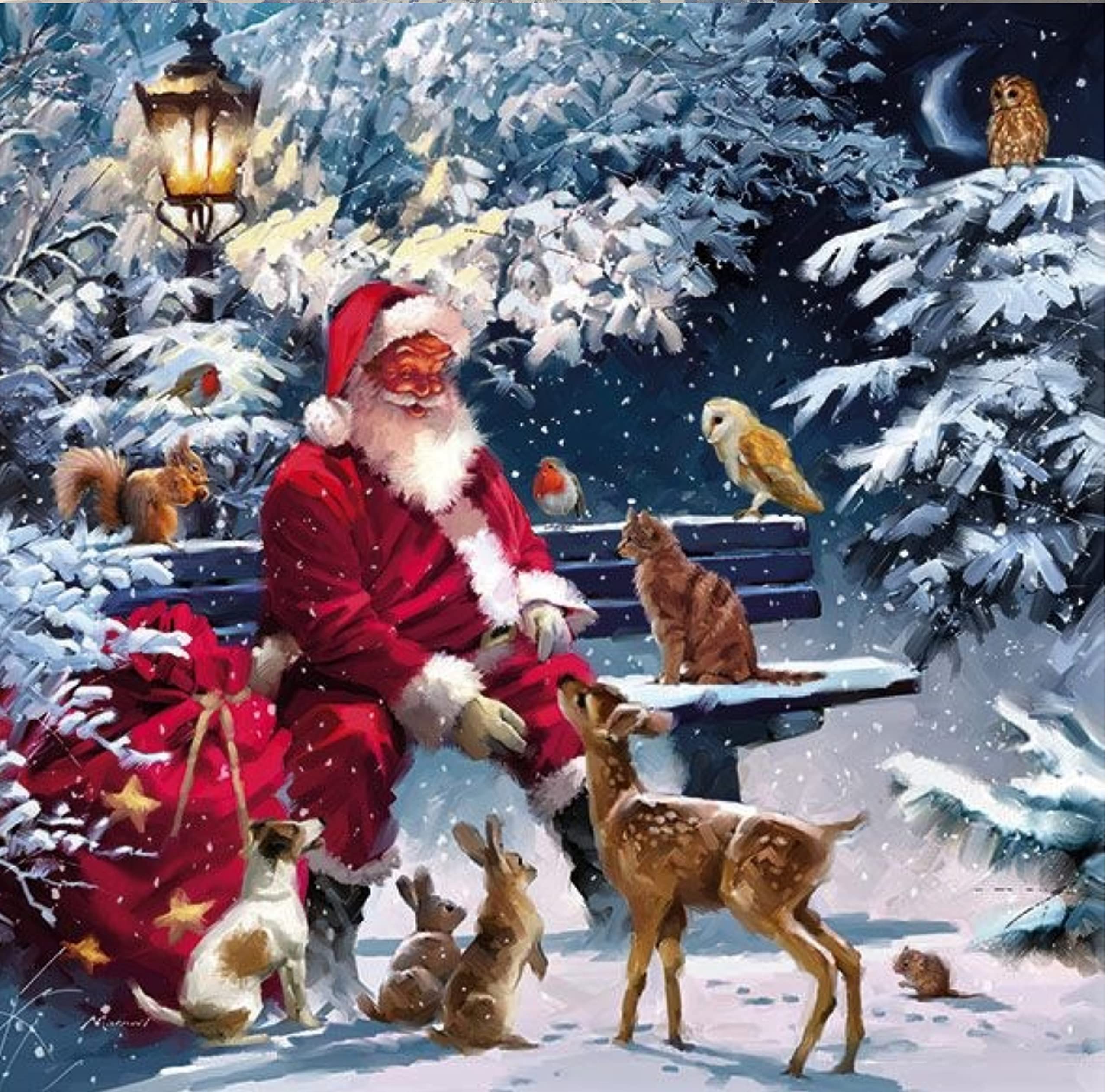 AVEVER Christmas Animal Santa Napkins showing various colours