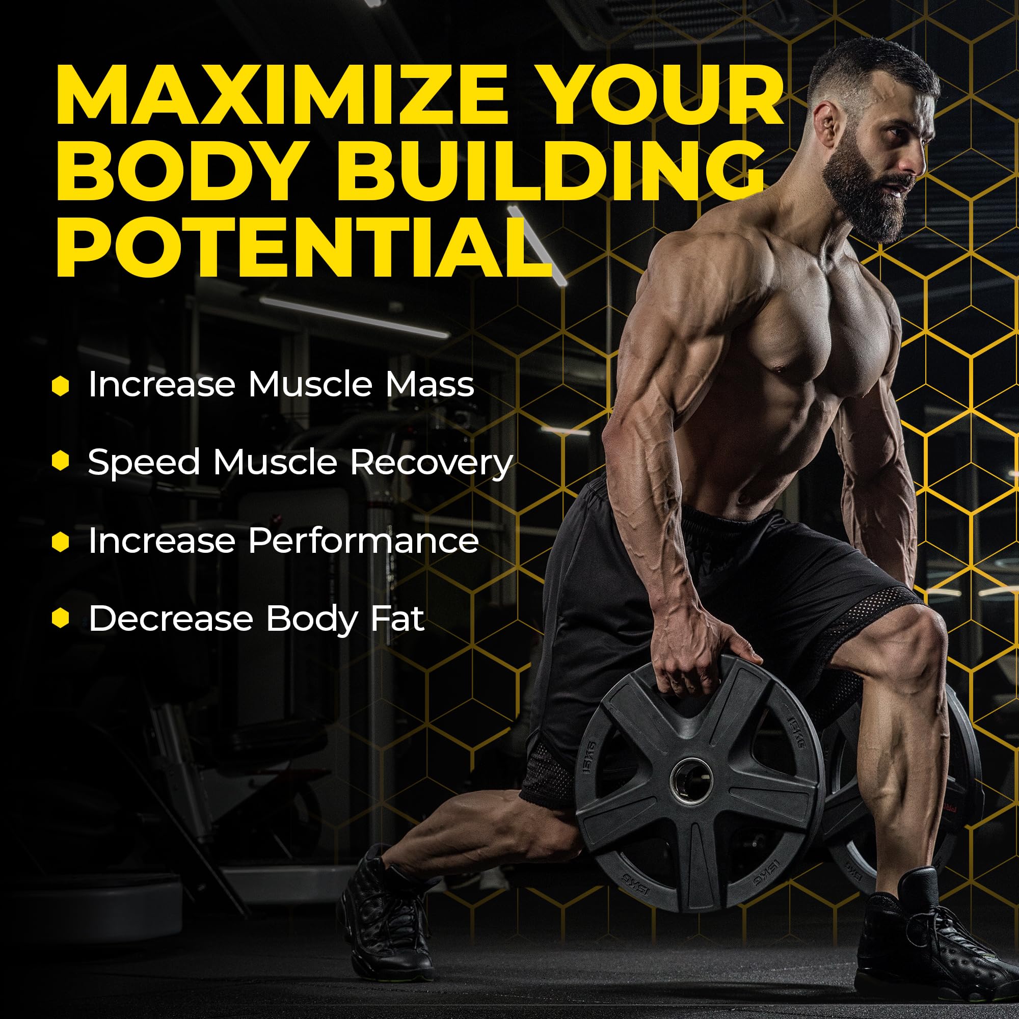 Avry Labs L-Creatine 399g back view with ingredient list