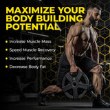 Avry Labs L-Creatine 399g back view with ingredient list
