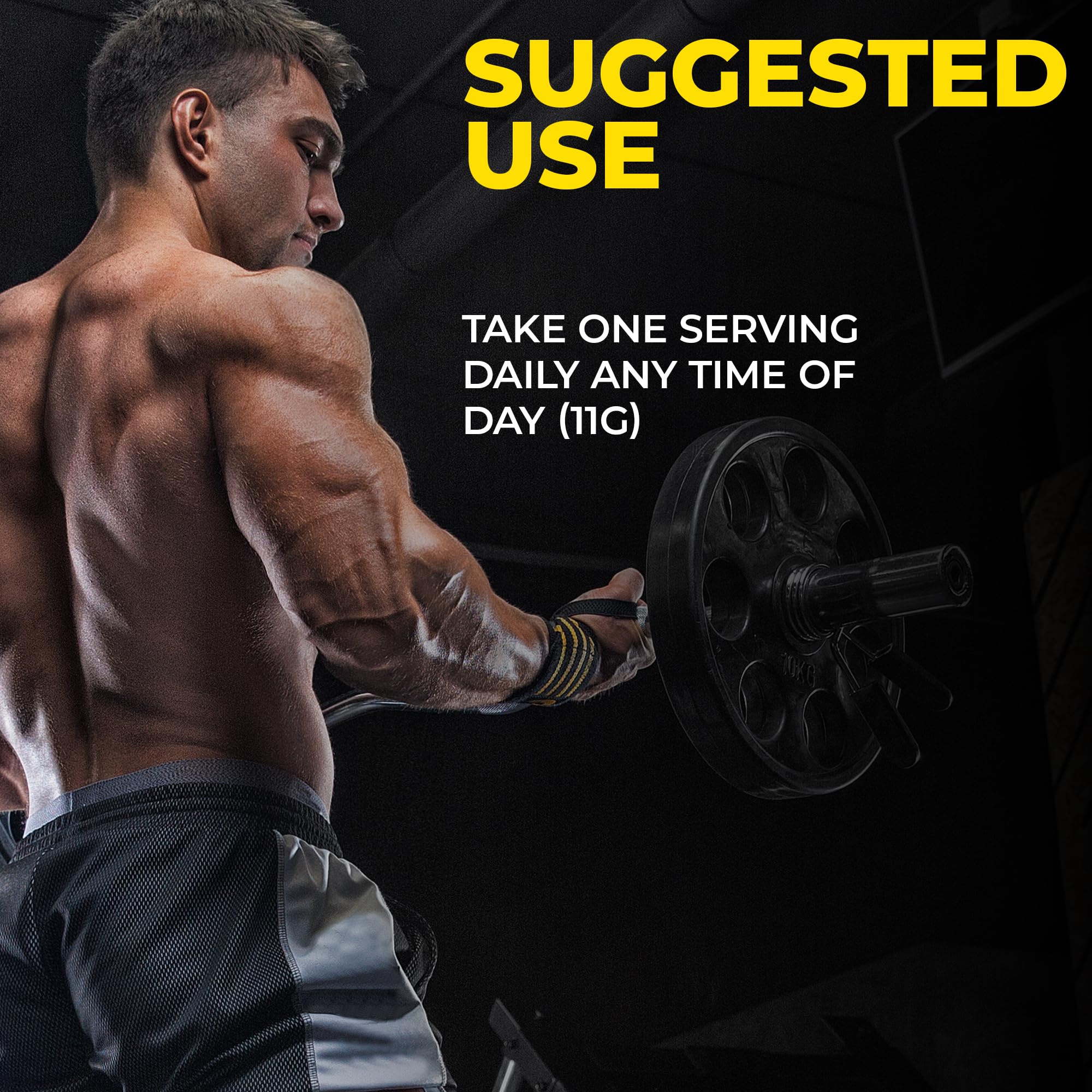 Avry Labs L-Creatine 399g lifestyle shot with gym equipment