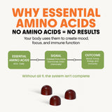 Awesome Aminos Multivitamins for Kids gummy ingredients list