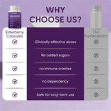 Awjsde Elvera Elderberry Capsules with fresh elderberries
