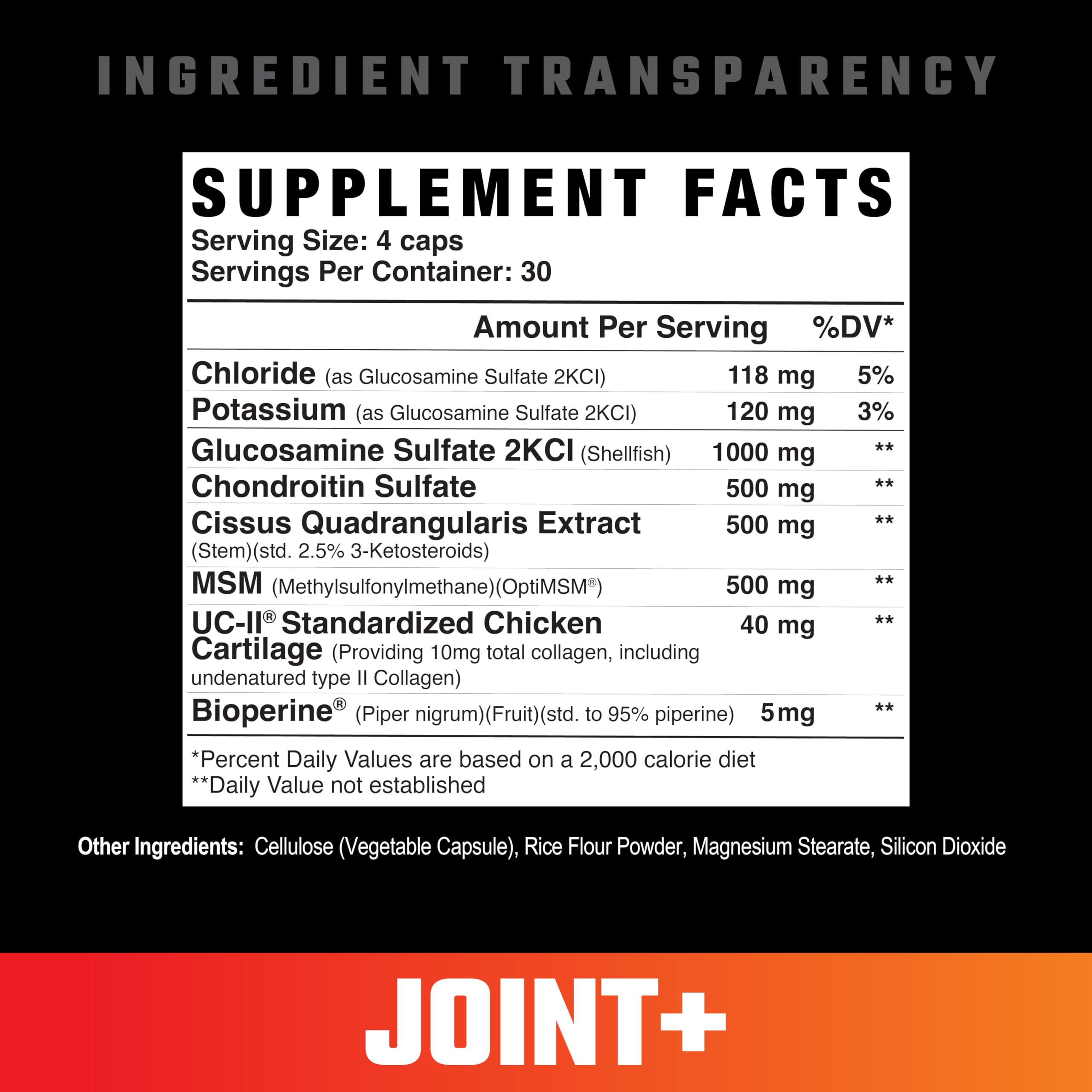Axe & Sledge Joint+ MSM Supplement side view showing ingredients
