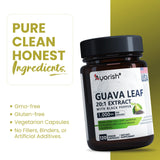 Ayorish Guava Leaf Extract Capsules in a lifestyle setting