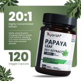 Ayorish Papaya Leaf Extract 1000mg supplement capsule close-up