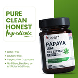 Ayorish Papaya Leaf Extract 1000mg supplement on a wooden table