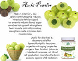 AYURVEDASHREE Amla Powder 100g close-up of powder texture