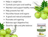 AYURVEDASHREE Amla Powder 100g displayed with other culinary ingredients