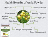 AYURVEDASHREE Amla Powder 100g used in a traditional recipe