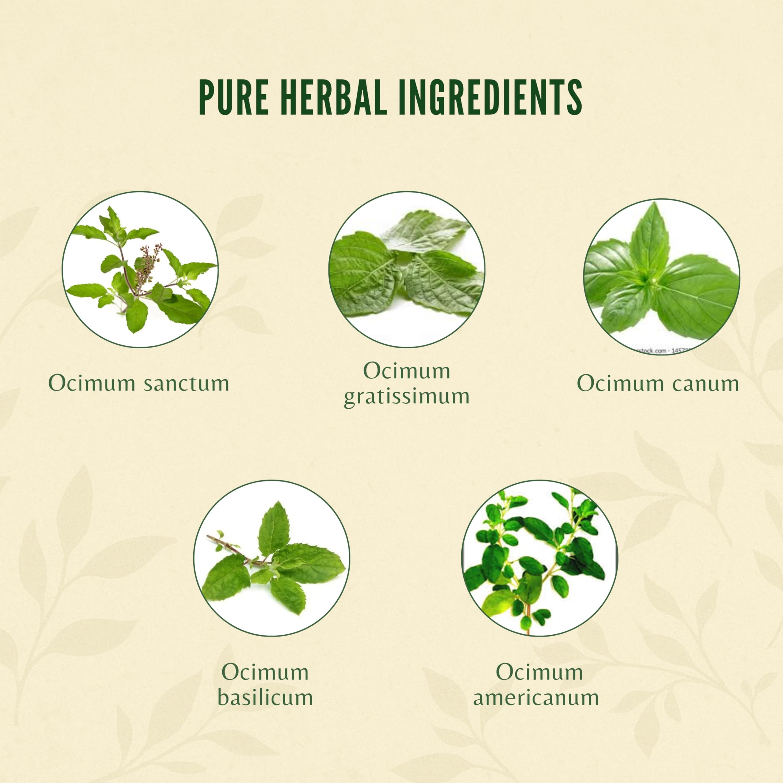 AYURVEDASHREE Tulsi Drops packaging dimensions on a table
