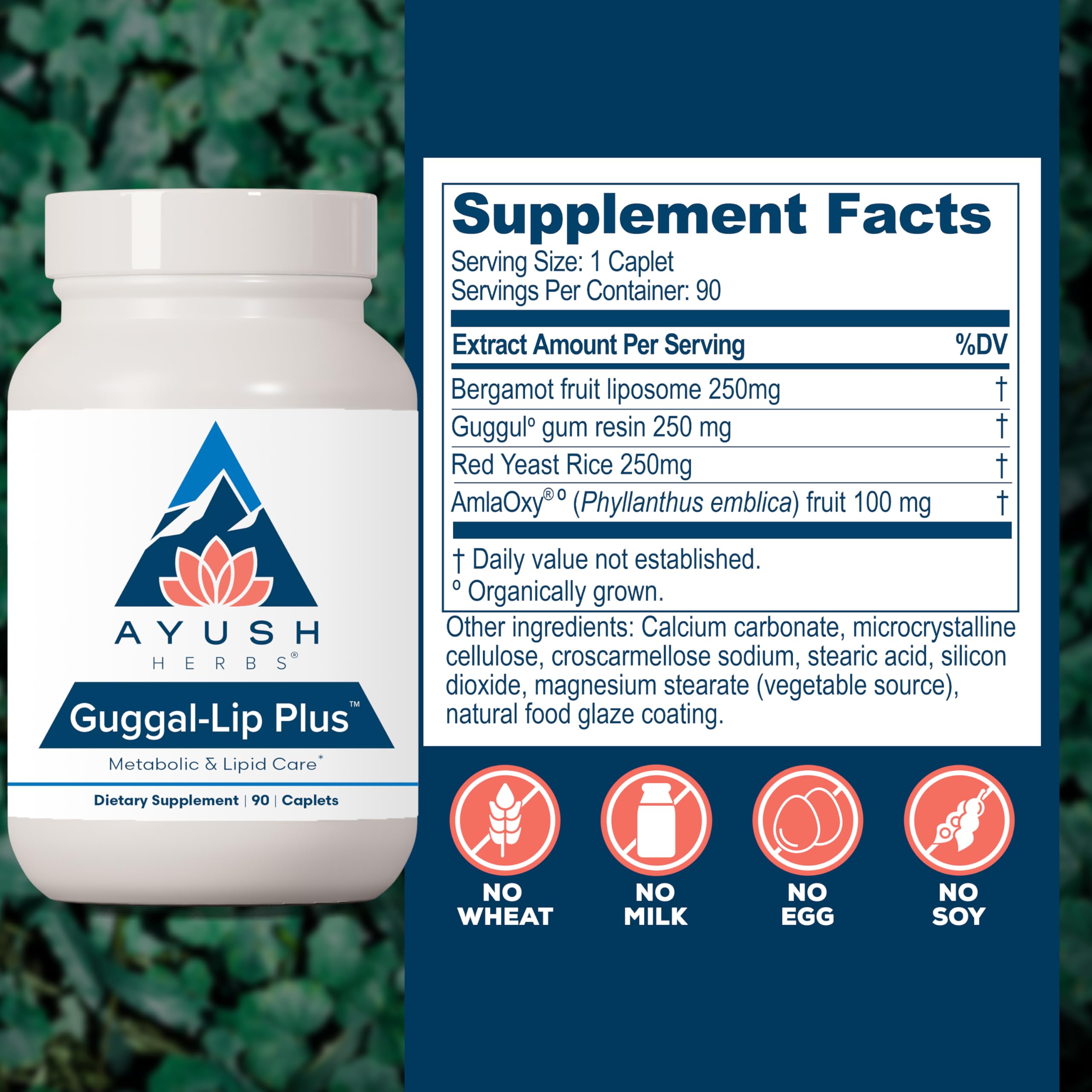Ayush Herbs a balanced routine Health Supplement back view with ingredient list