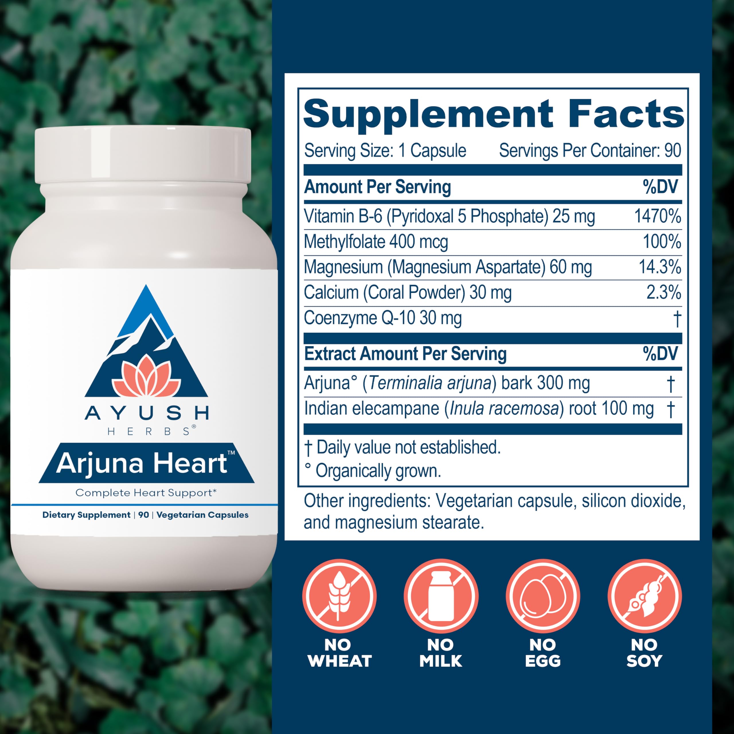 Ayush Herbs Arjuna Heart Supplement side view