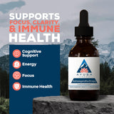 Ayush Herbs Ashwagandha Liquid Drops 500mg bottle with label