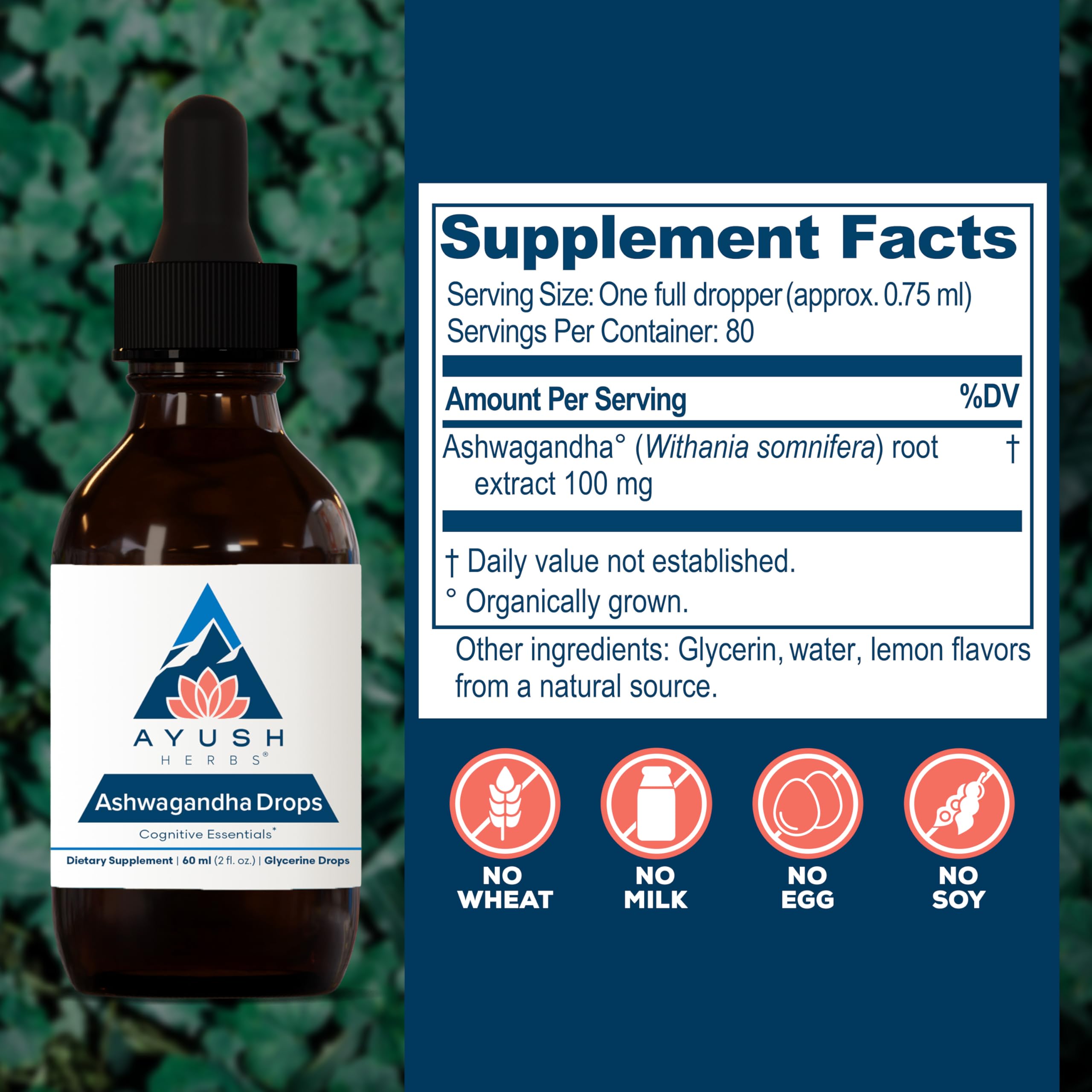 Ayush Herbs Ashwagandha Liquid Drops 500mg dropper close-up