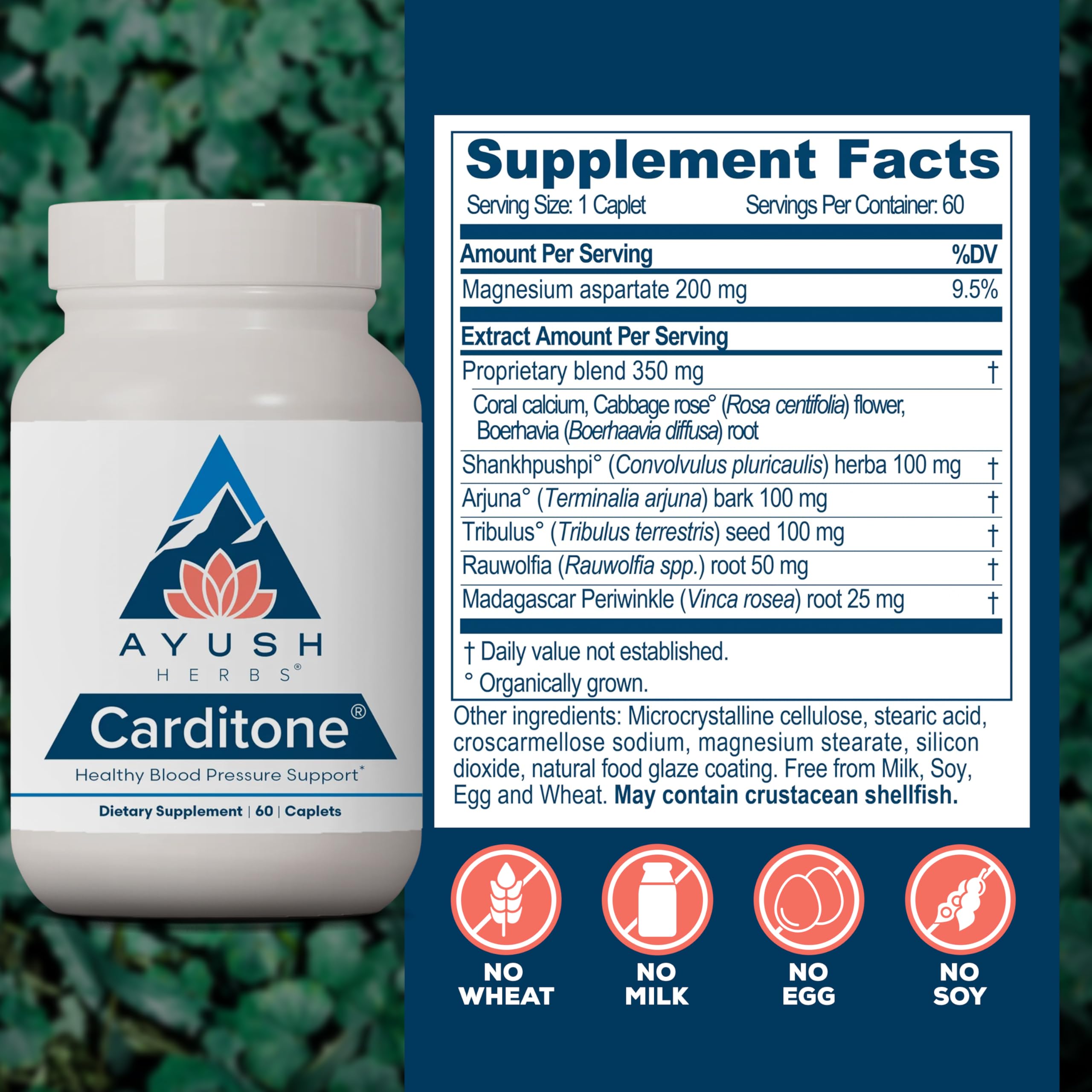 Ayush Herbs Carditone side view of the bottle