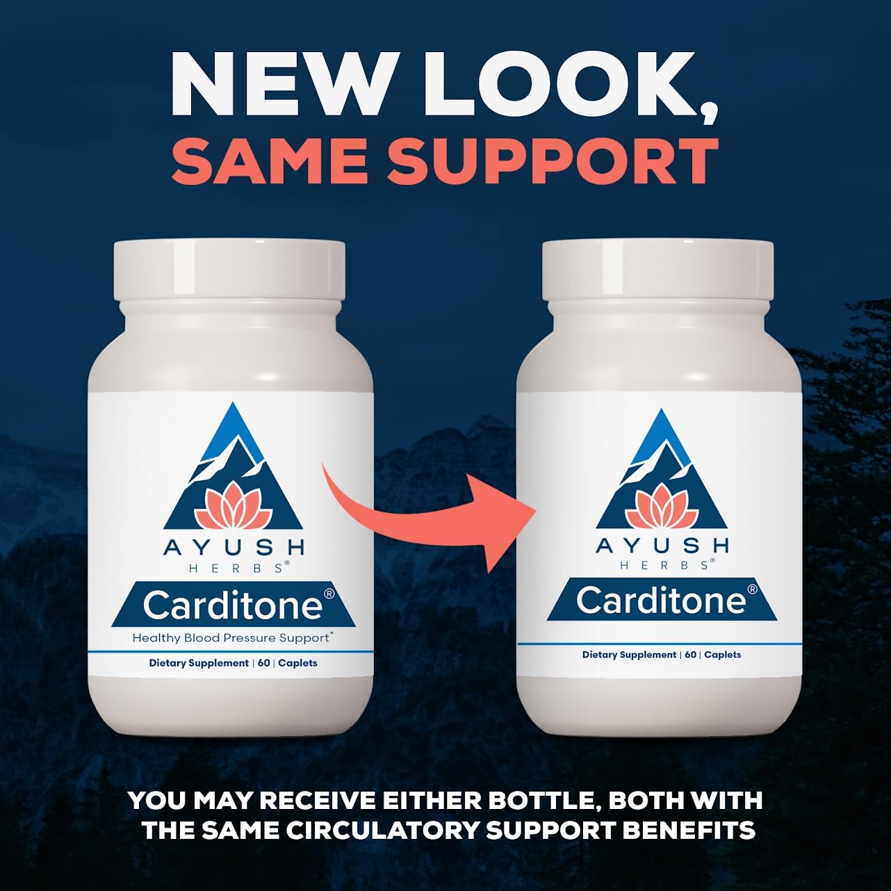Ayush Herbs Carditone supplement caplets in packaging