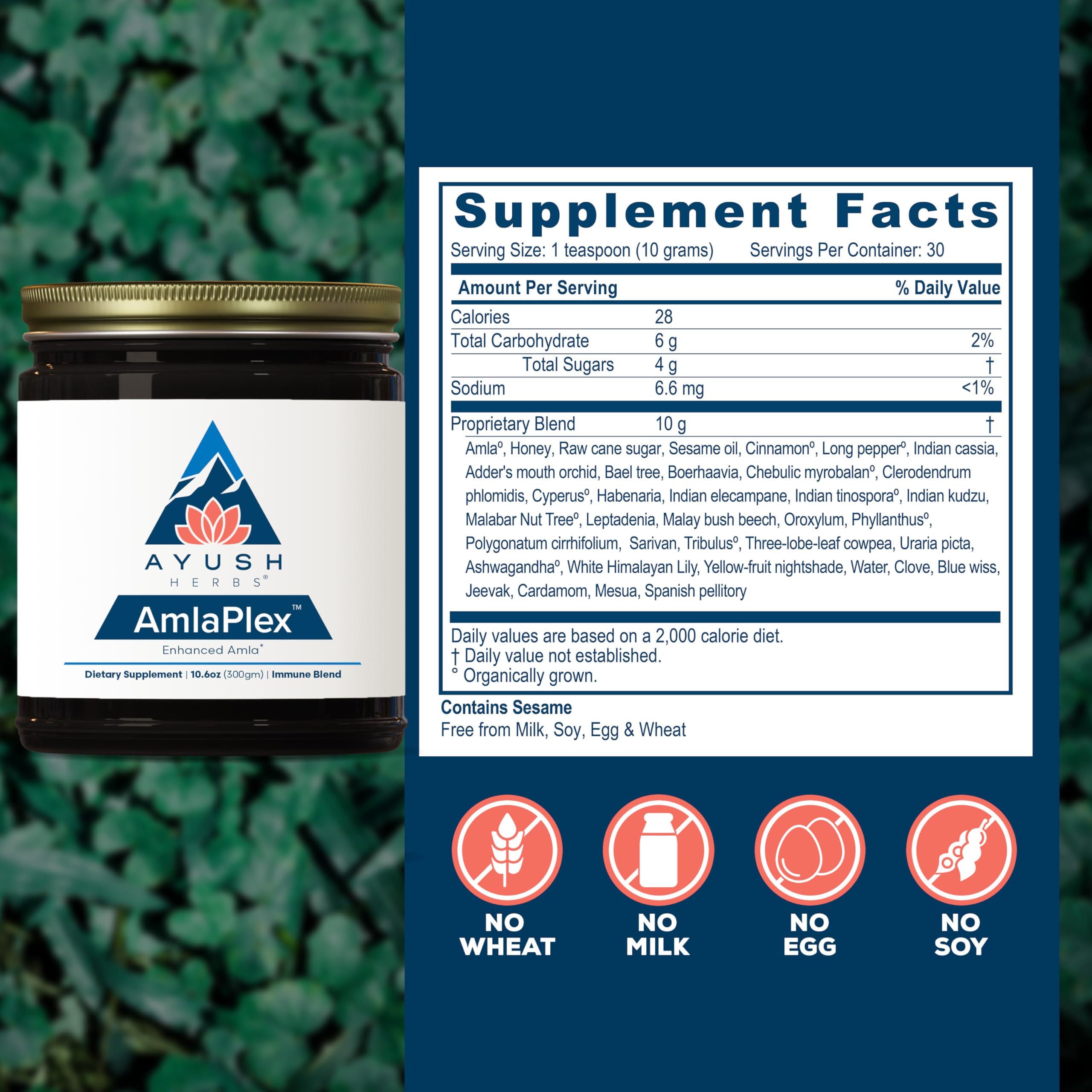 Ayush Herbs Chyawanprash Amla Jam 18g side view