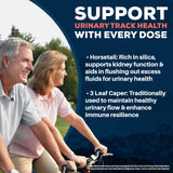Ayush Herbs Cranberry Kidney Support Supplement capsules