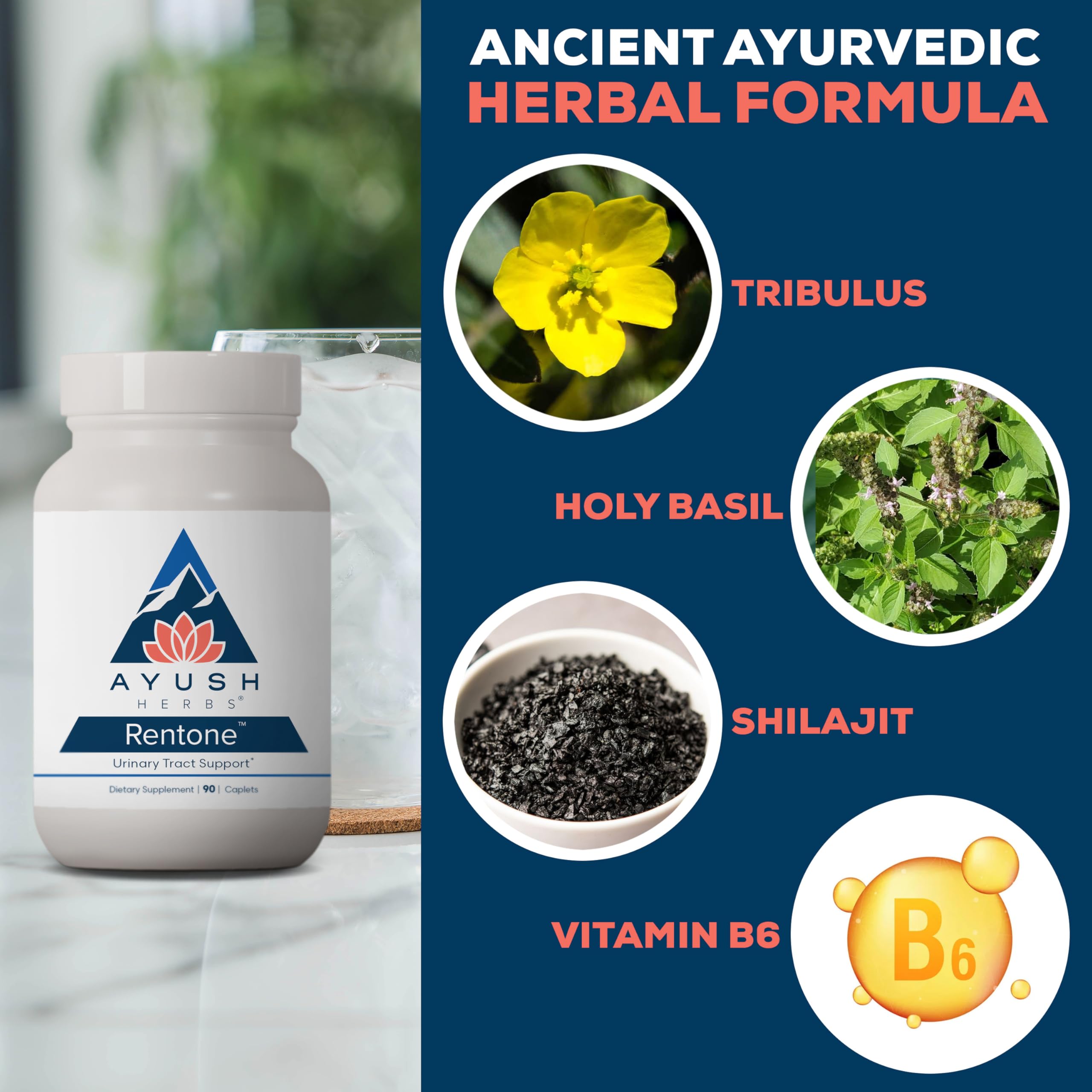 Ayush Herbs Cranberry Kidney Support Supplement ingredients list