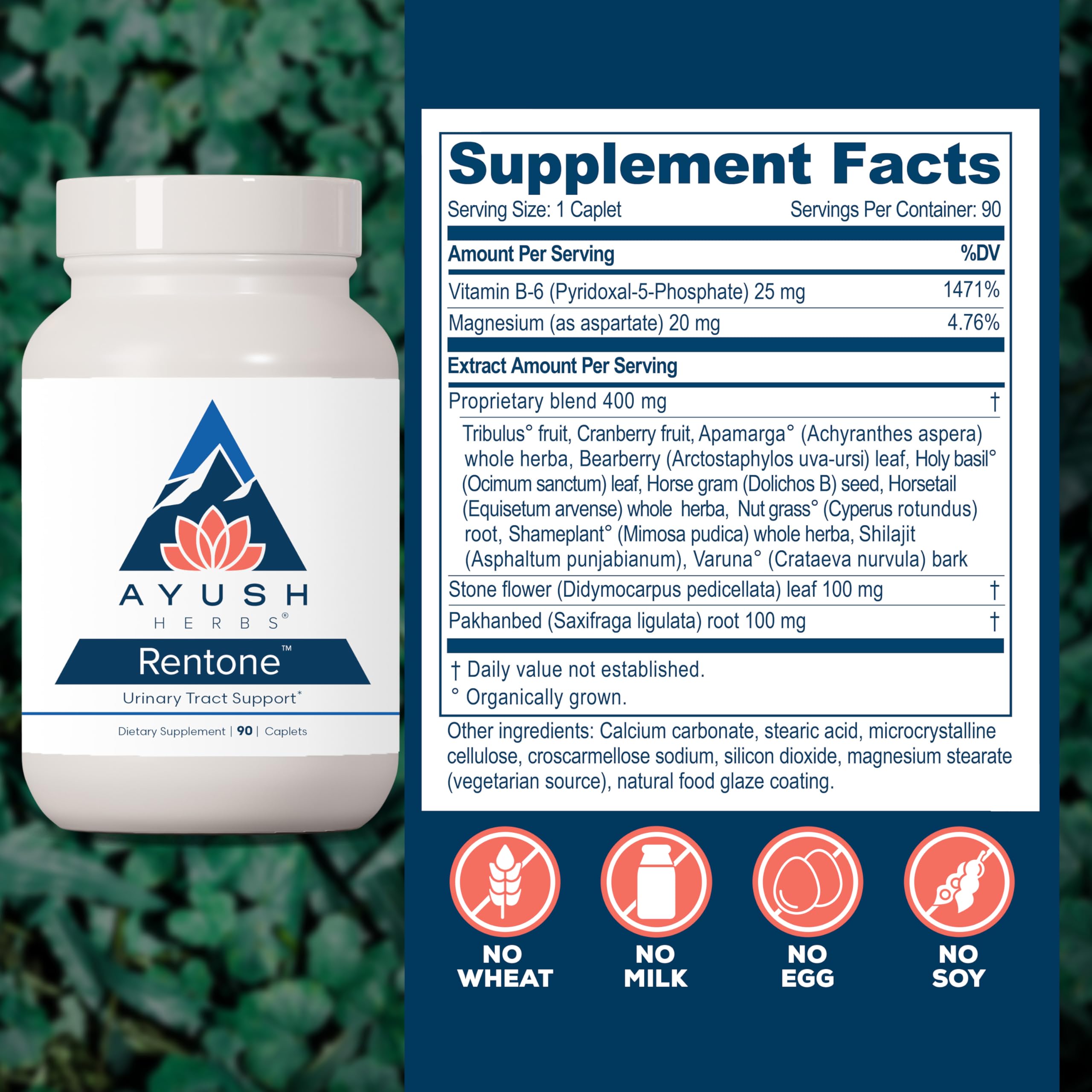 Ayush Herbs Cranberry Kidney Support Supplement packaging