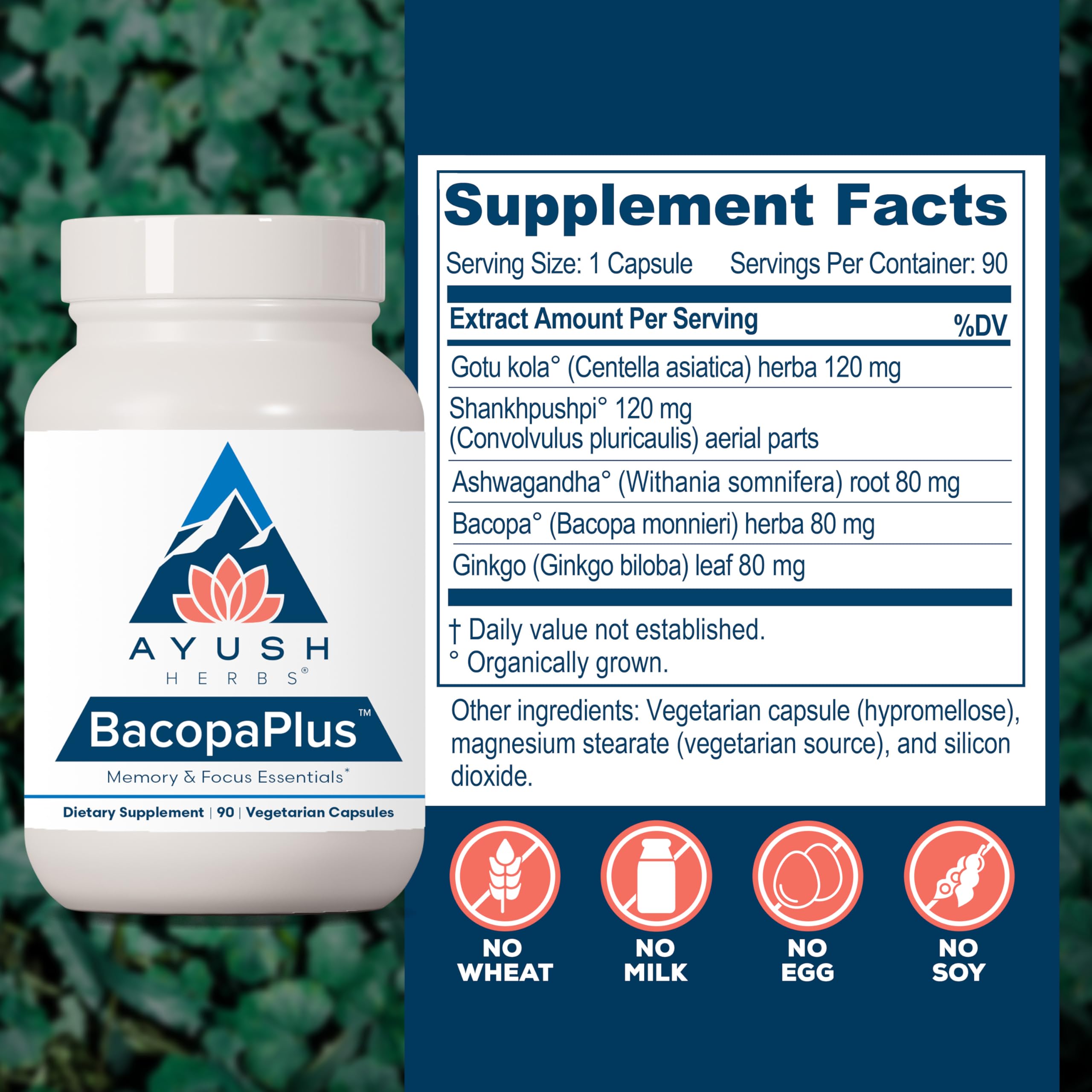 Ayush Herbs Ginkgo Biloba Supplement packaging with ingredients list