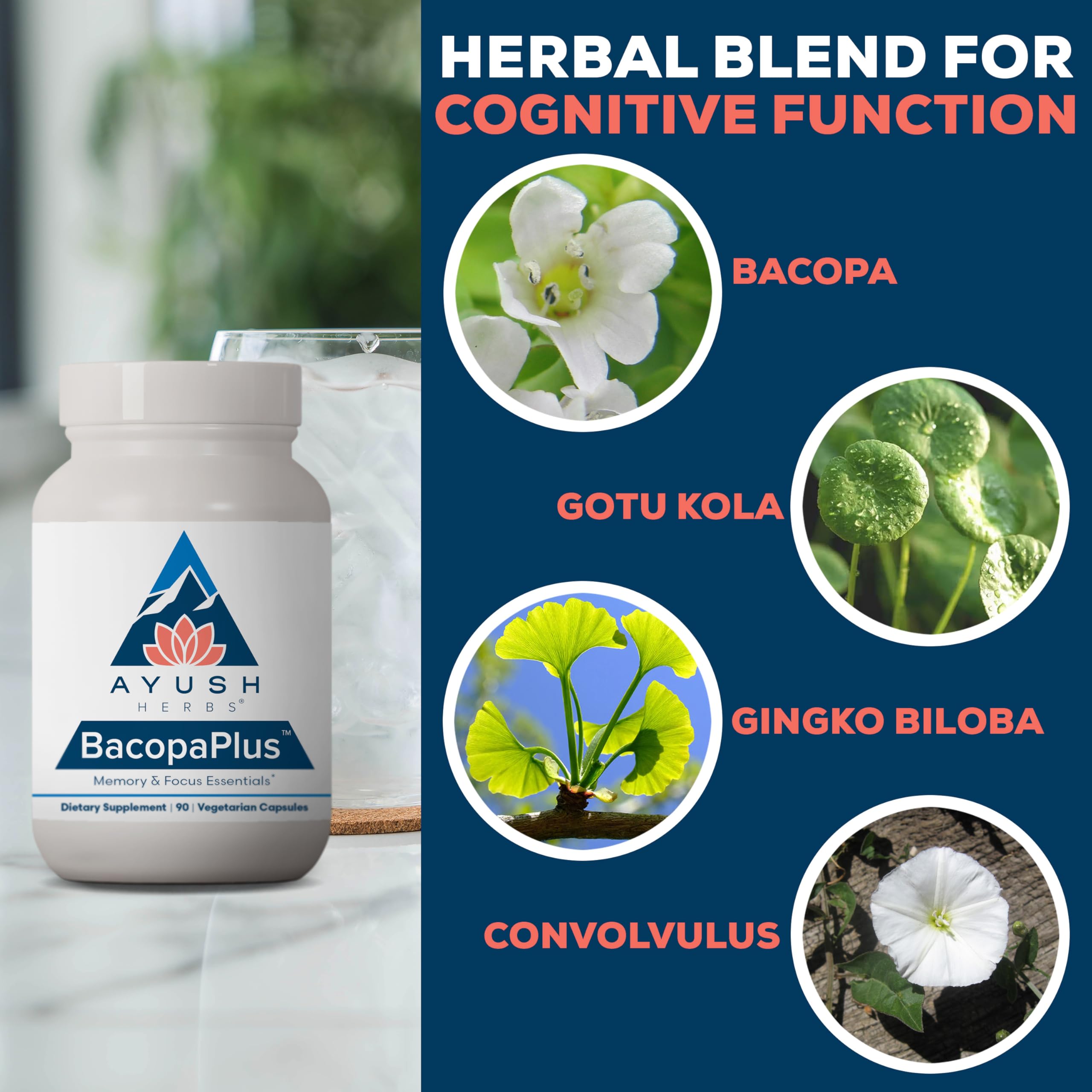 Ayush Herbs Ginkgo Biloba Supplement with a measuring spoon