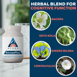 Ayush Herbs Ginkgo Biloba Supplement with a measuring spoon
