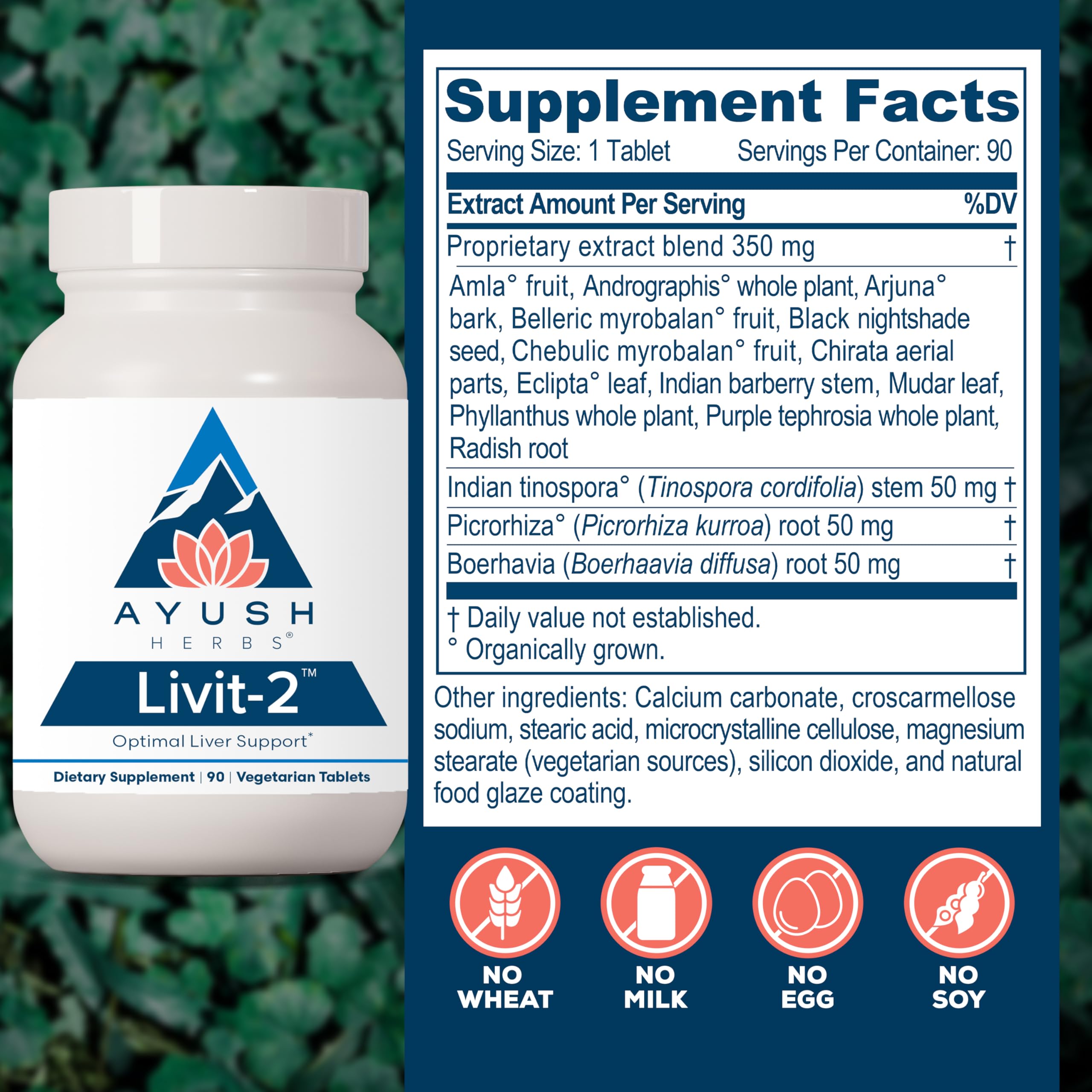 Ayush Herbs Liver Support Supplement 91g side view