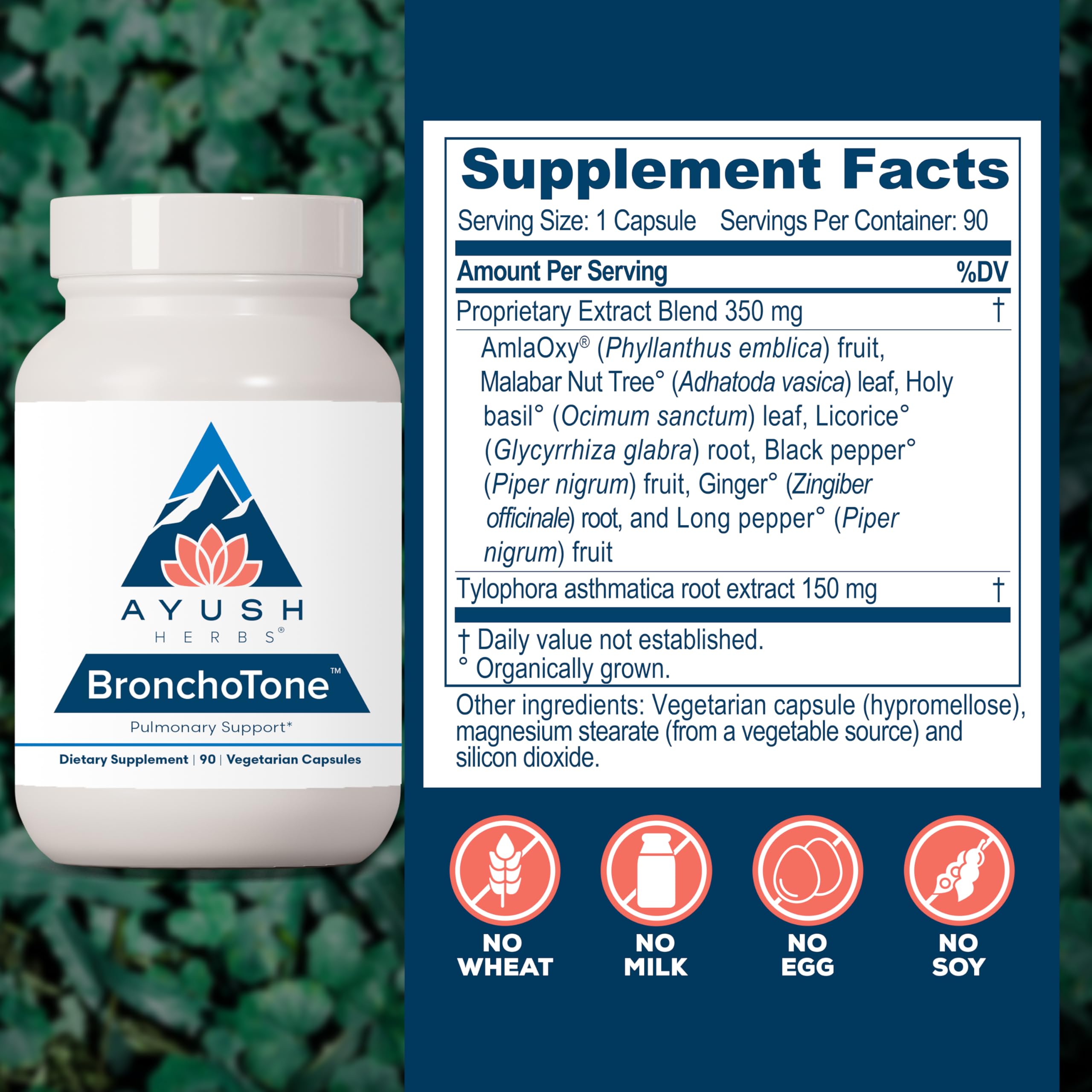 Ayush Herbs Lung Support Capsules back view with ingredient list