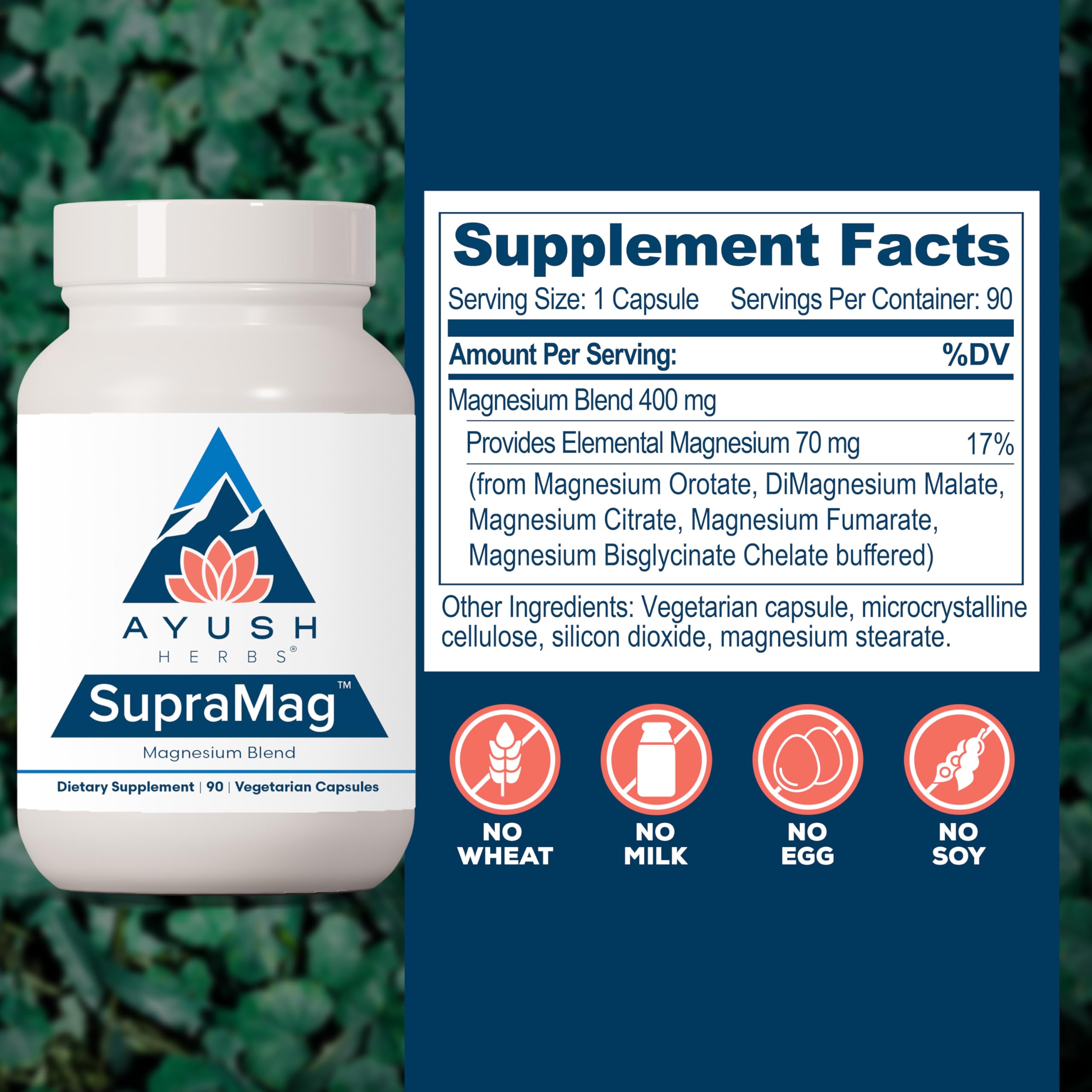Ayush Herbs Magnesium Complex 400mg side view of packaging
