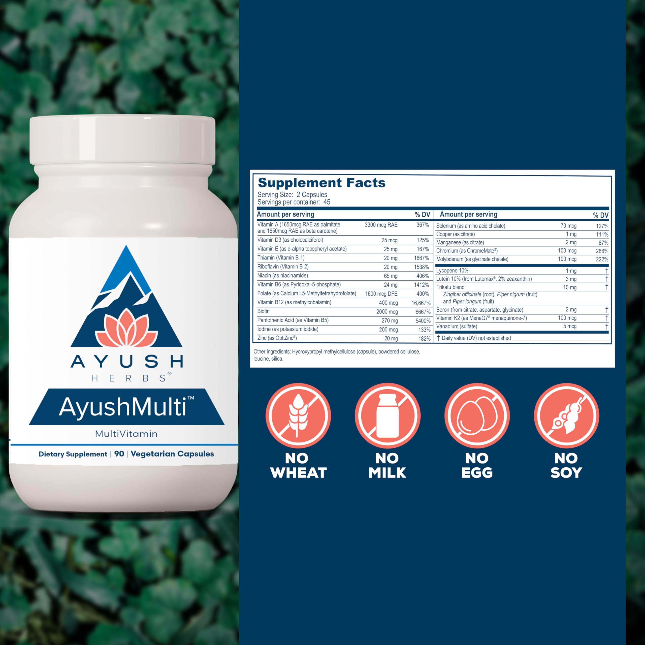 Ayush Herbs Multivitamin Capsules back view with ingredient list