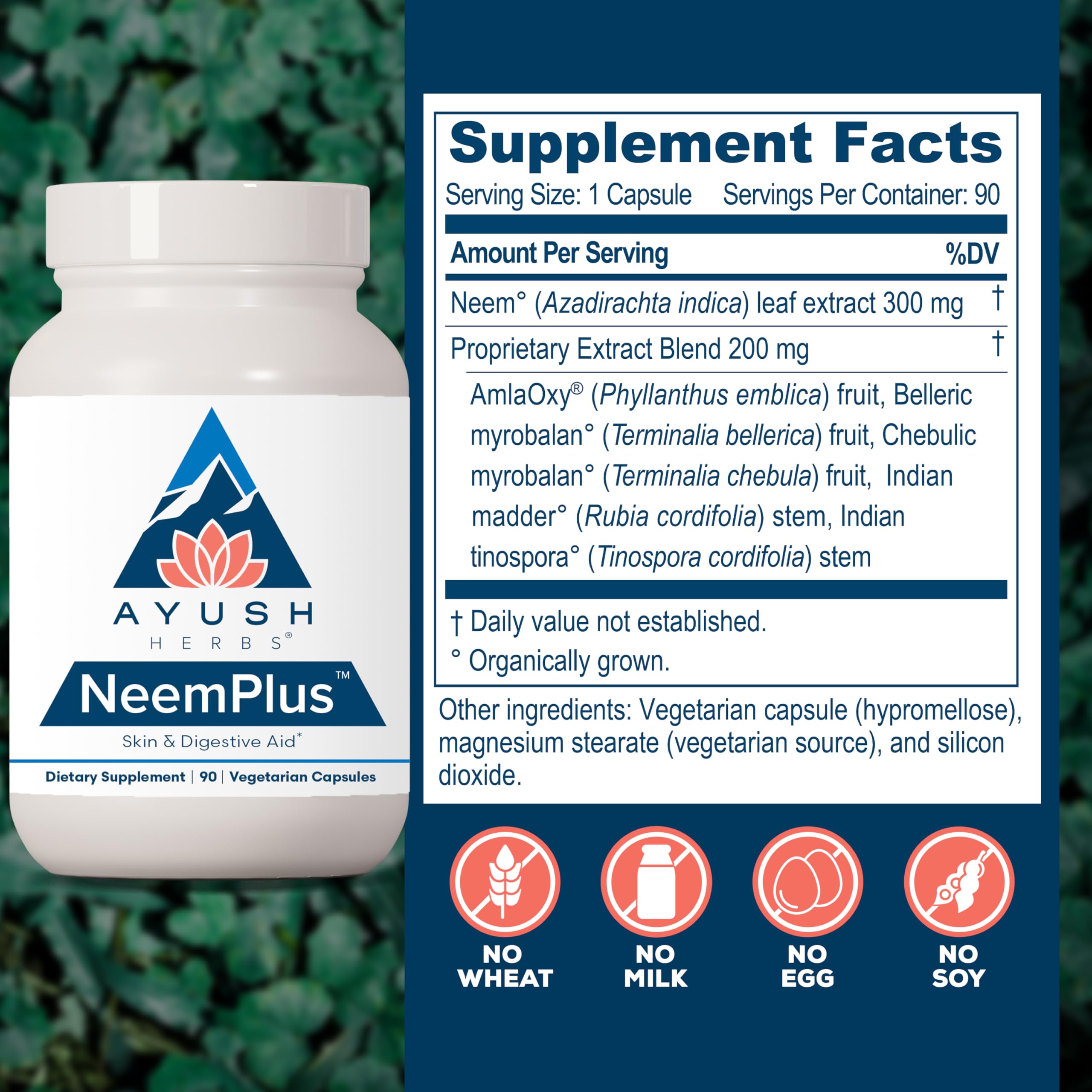 Ayush Herbs Neem Plus Herbal Supplement 300mg back view