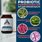 Ayush Herbs Probiotic Supplement capsule close-up