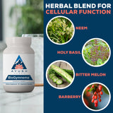 Ayush Herbs supplement displayed with herbs and ingredients