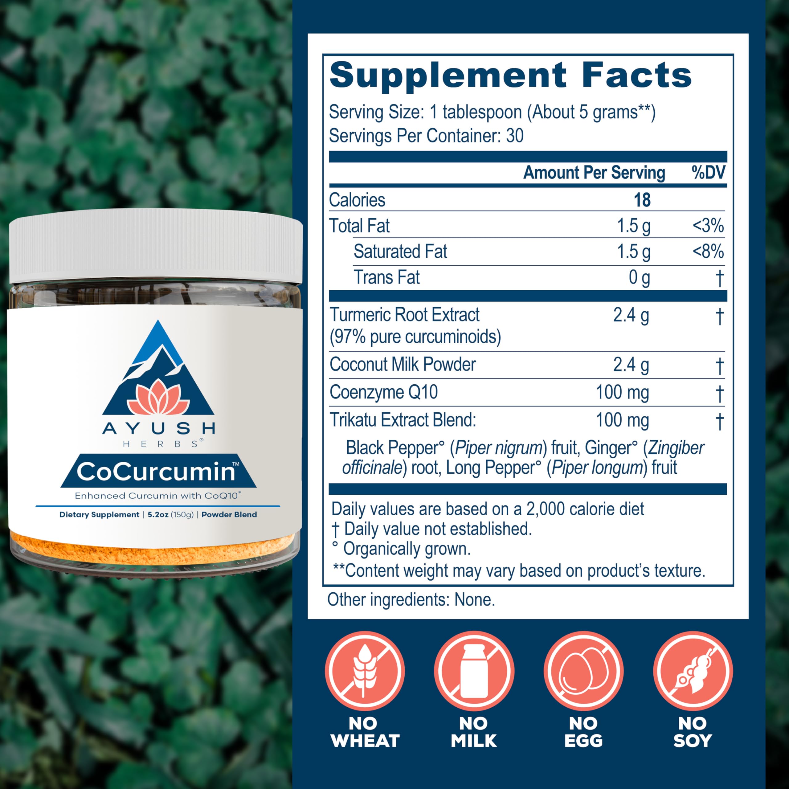 Ayush Herbs Turmeric Curcumin Supplement 198g ingredients list