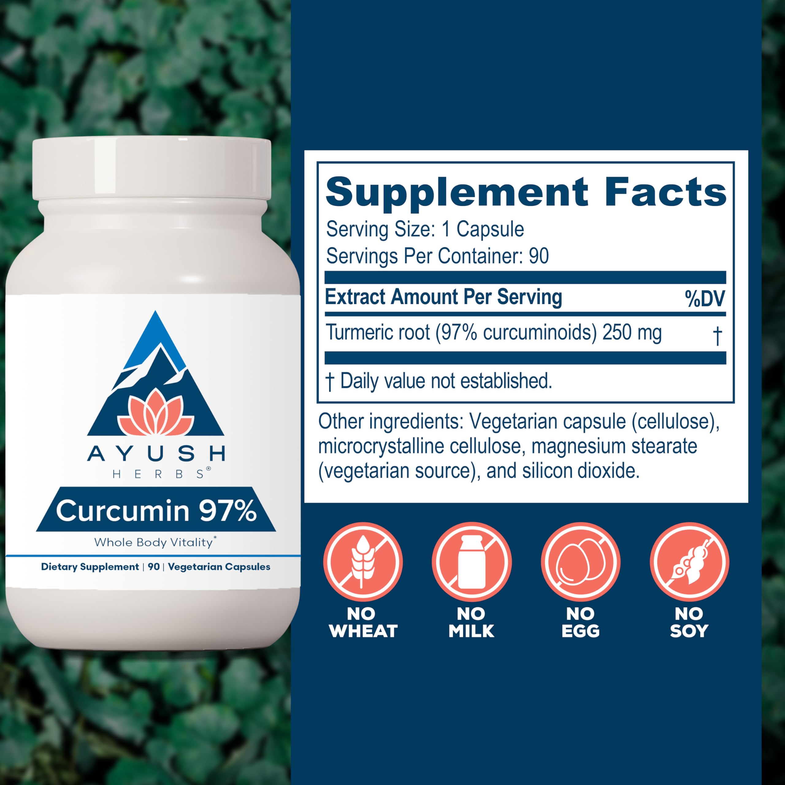Ayush Herbs Turmeric Curcumin Supplement 250mg capsule close-up