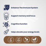AZ BIOTECH Lion's Mane Mushroom Extract capsules back view
