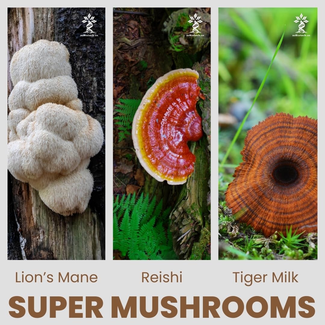 AZ BIOTECH Lion's Mane Mushroom Extract packaging side view