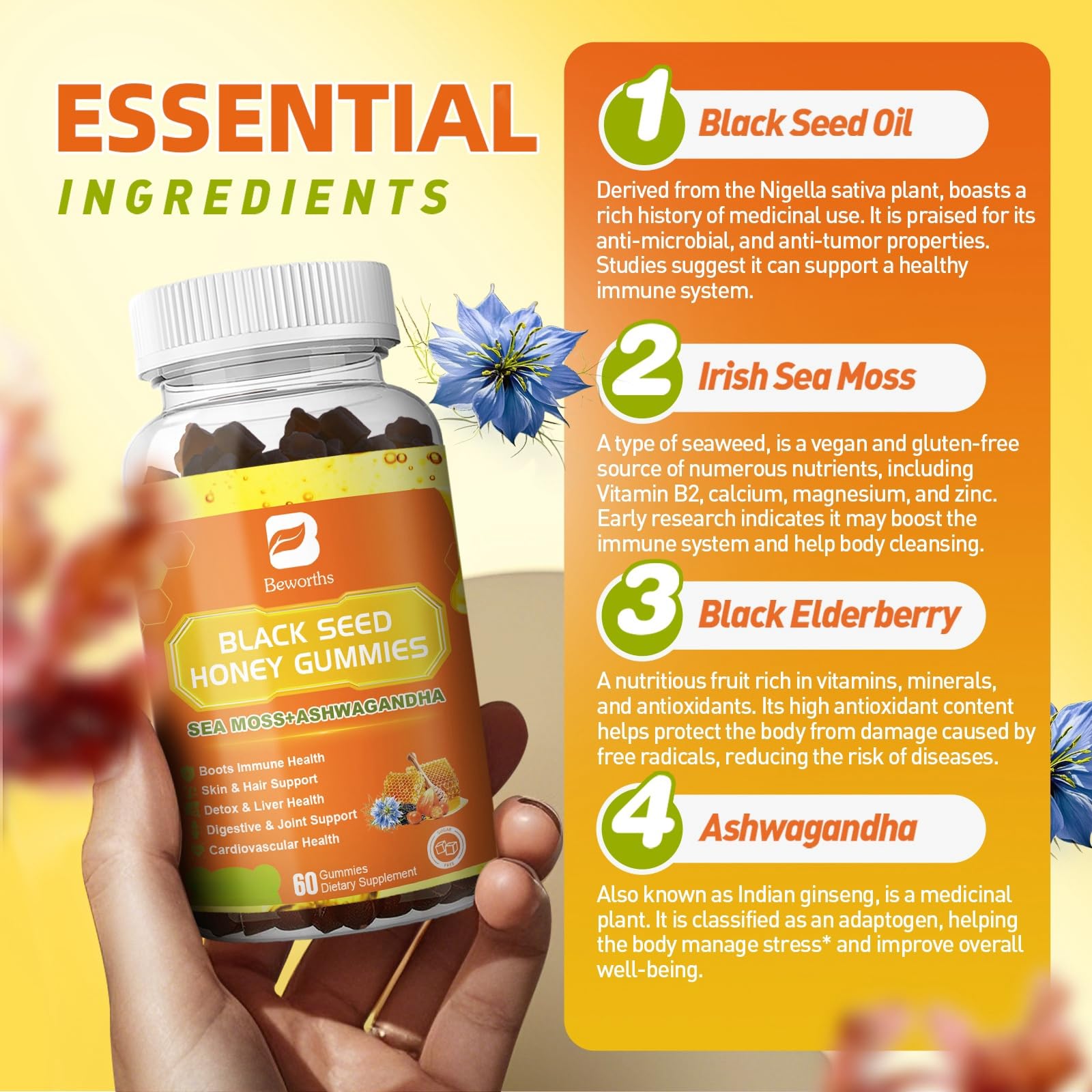 B BEWORTHS Black Seed Oil Sea Moss Gummies close-up of gummies