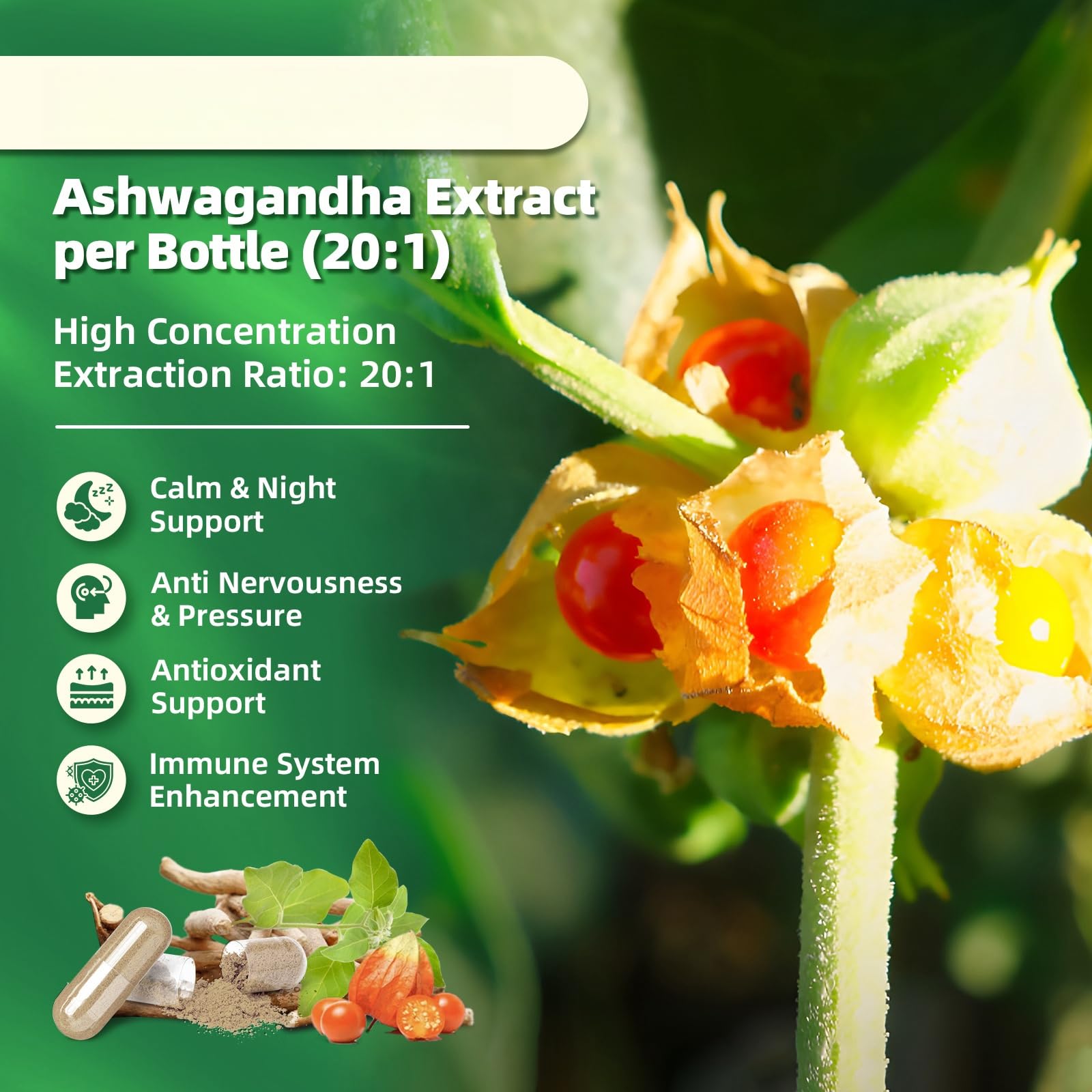 B BEWORTHS CortiCare Ashwagandha Supplement bottle with dosage information