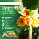 B BEWORTHS CortiCare Ashwagandha Supplement bottle with dosage information