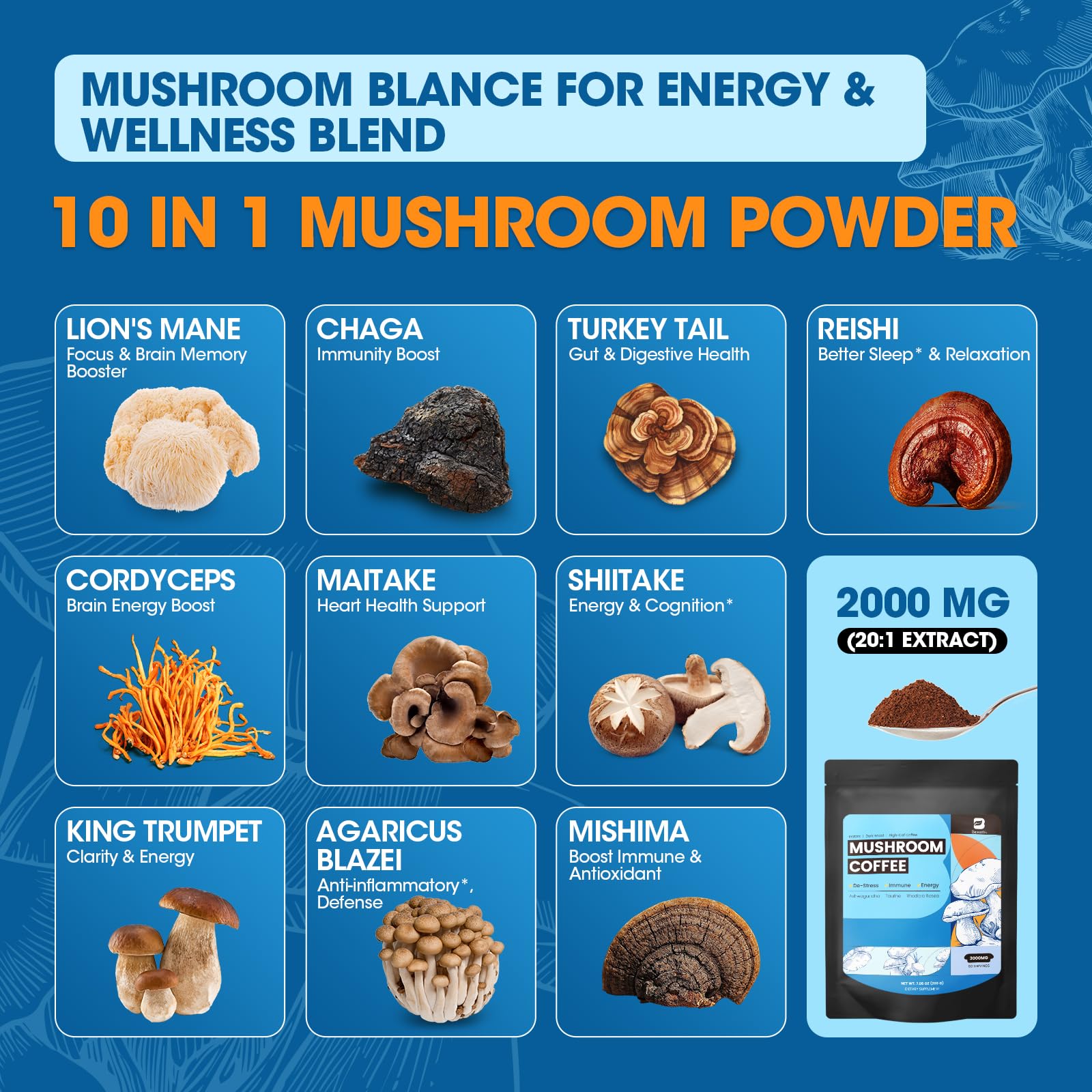 B BEWORTHS Mushroom Coffee Powder Blend scoop with powder