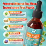 B BEWORTHS Sea Moss Liquid Drops 191g bottle with label
