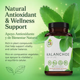 B-Experts Leaf of Life Herbal Supplement bottle side view