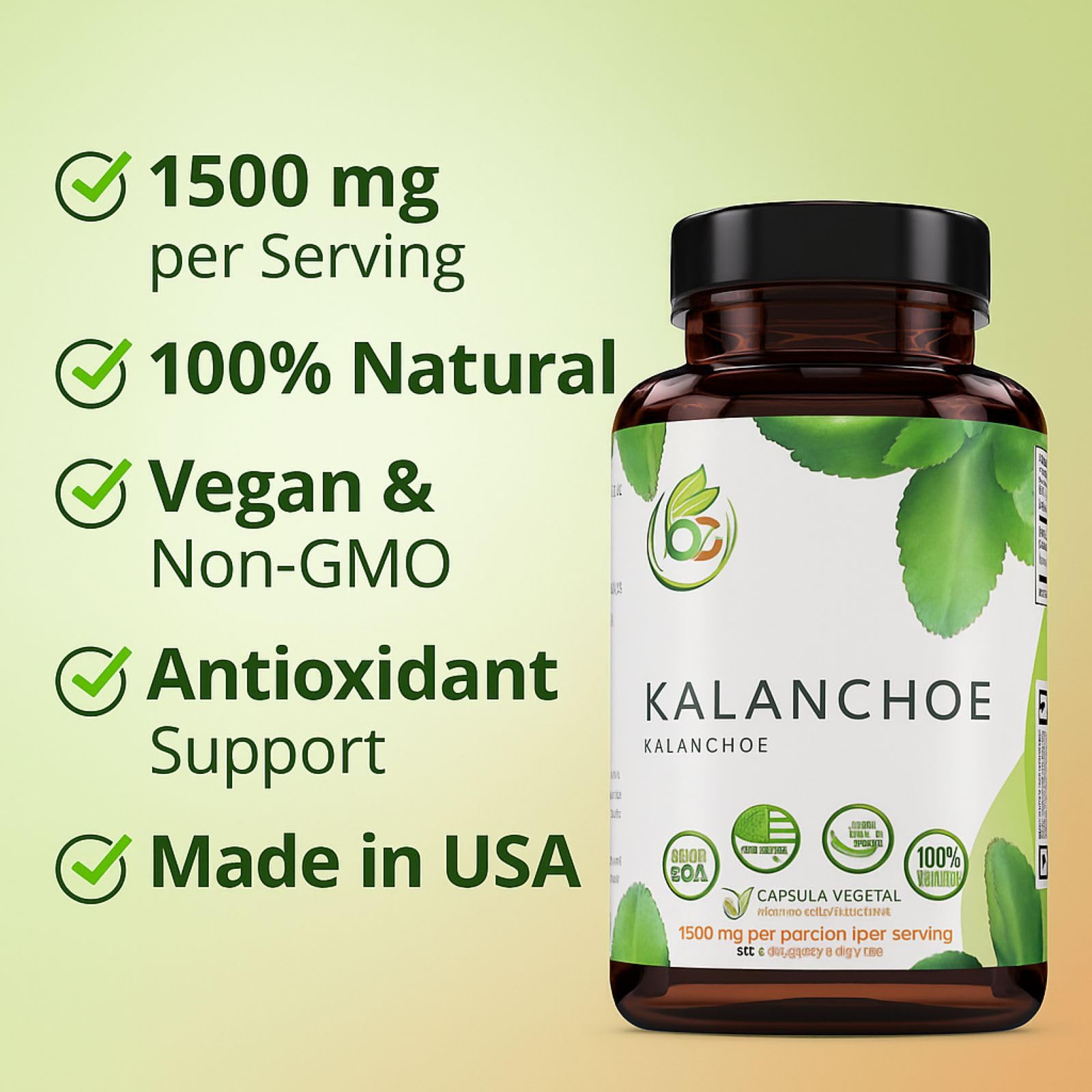 B-Experts Leaf of Life Herbal Supplement in a lifestyle setting