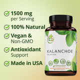 B-Experts Leaf of Life Herbal Supplement in a lifestyle setting